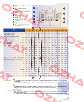 GSBT-K5-200 + Nabe- GSBT-K5-HUB-25  Temporiti s.r.l.