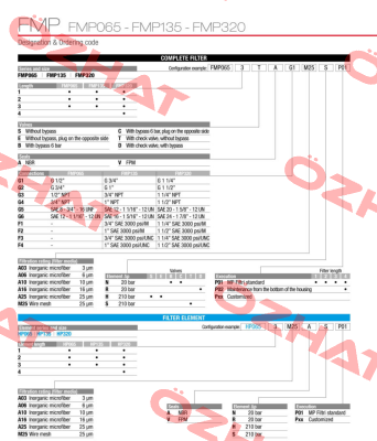 FMP-065-1-B-A-G1-A25-N-P01 MP Filtri