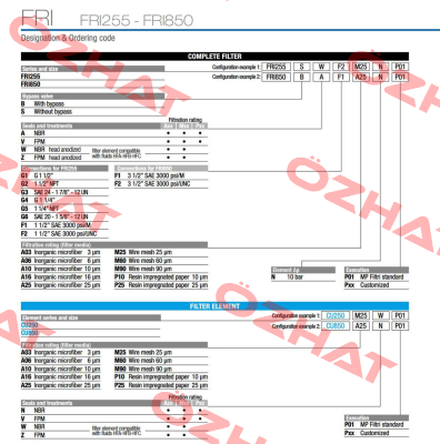 FRI-850-B-V-F1-XXX-N-S MP Filtri