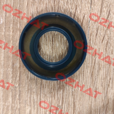 #12 Oil Seal #255207 Swedrive