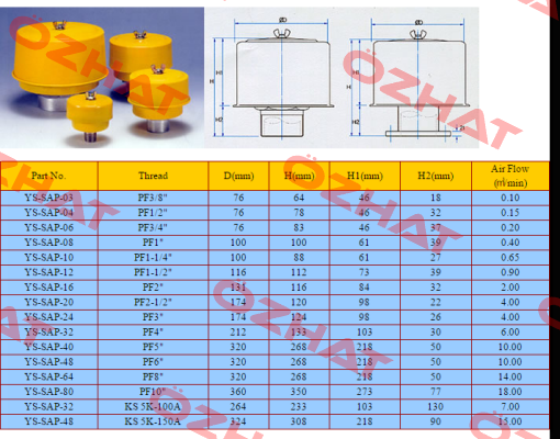 SAP-08-PP  Sejin