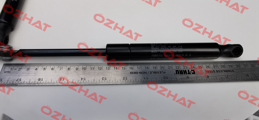 4989 TG 0800N  168/11 C5 Stabilus