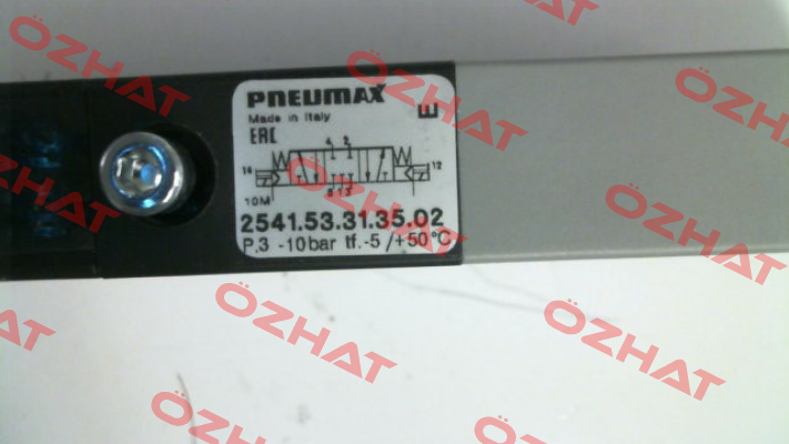 2541.53.31.35.02 Pneumax