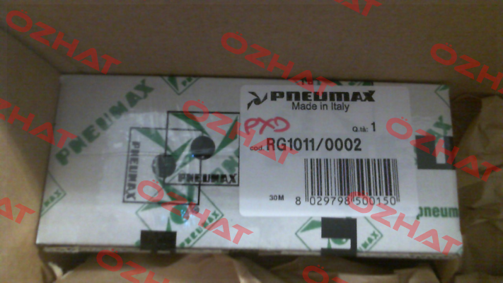 RG1011/0002 Pneumax